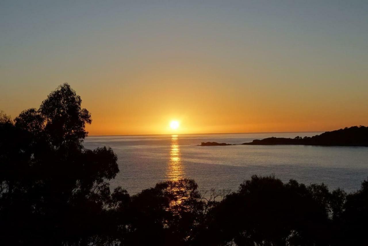 The Loft @ Bay Of Fires Seascape Apartment Binalong Bay Exterior foto