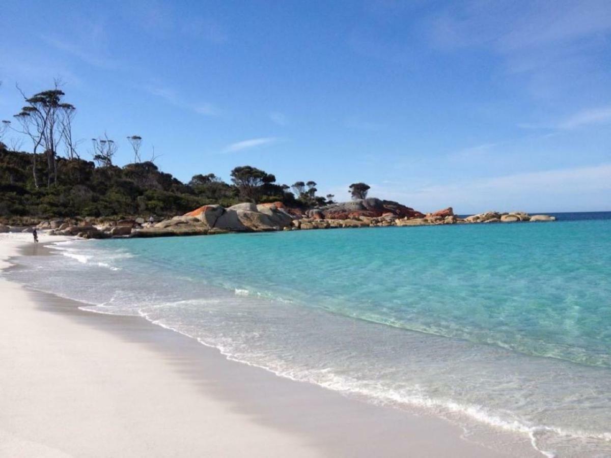 The Loft @ Bay Of Fires Seascape Apartment Binalong Bay Exterior foto