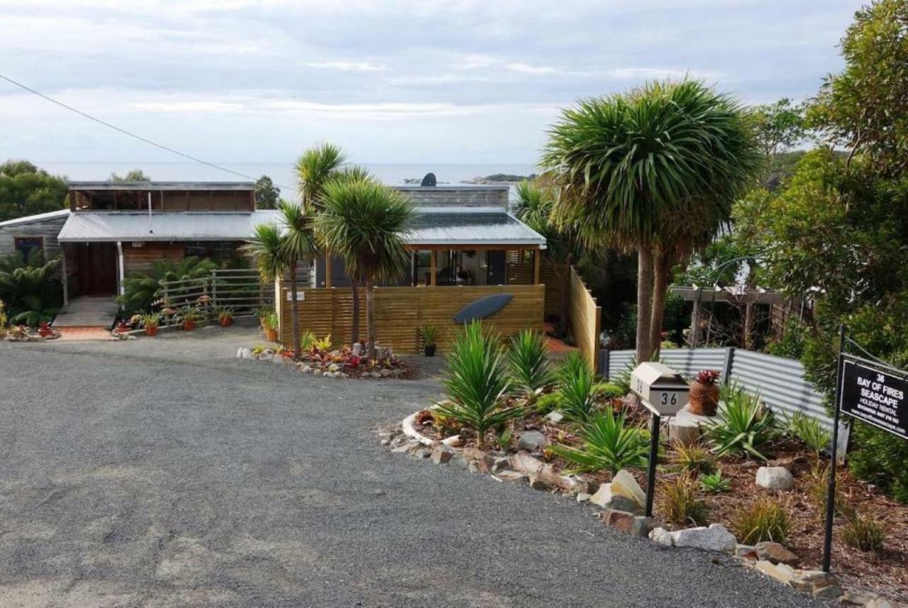 The Loft @ Bay Of Fires Seascape Apartment Binalong Bay Exterior foto