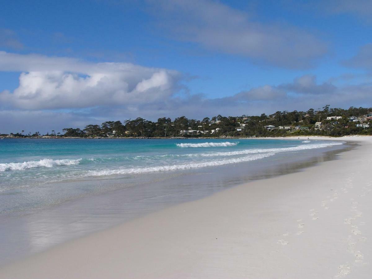 The Loft @ Bay Of Fires Seascape Apartment Binalong Bay Exterior foto